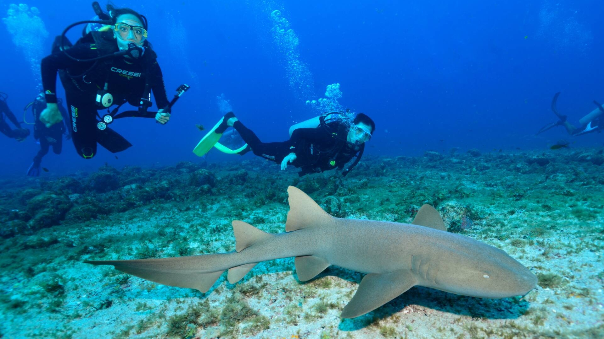 Mergulho Batismo em Fernando de Noronha